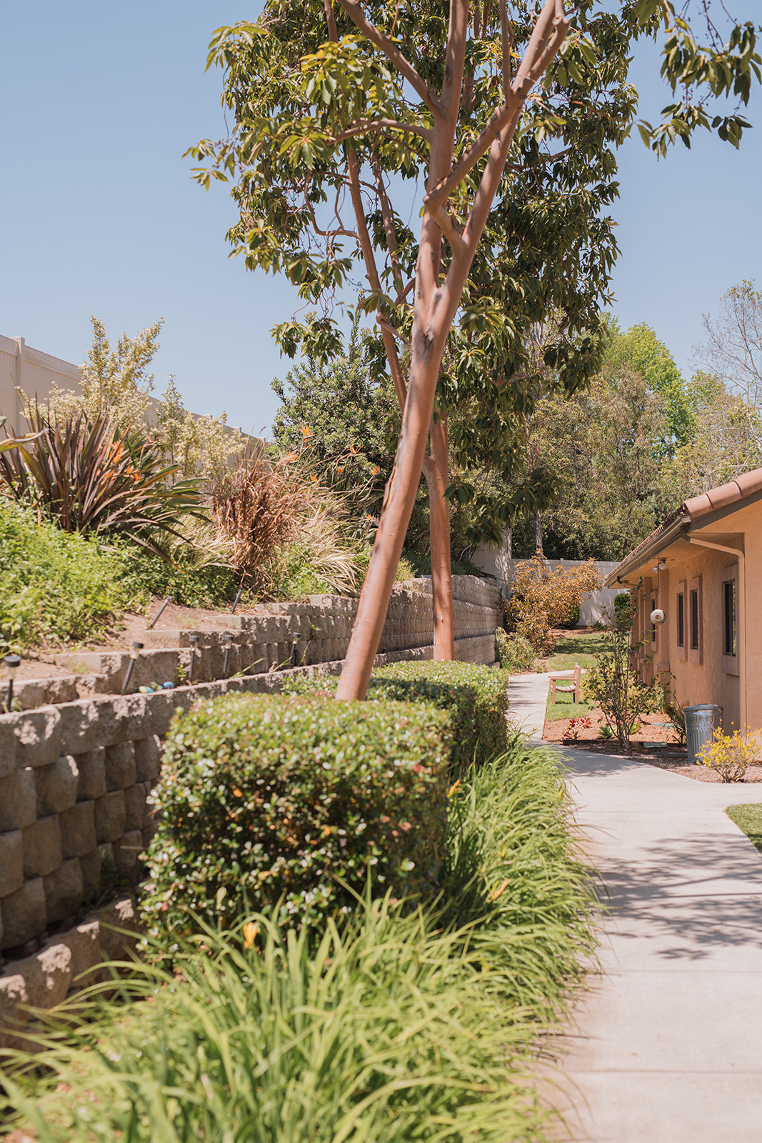 NorthStar Summerfield Senior Living Communities Landscaping at Summerfield's Brookside neighborood in Stockton, CA